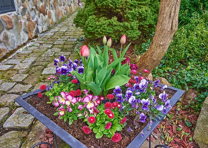 Alloggio in famiglia Potoki *